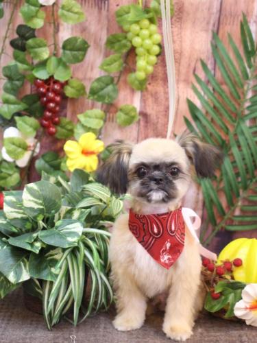 20230825じじくん